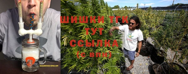 ПСИЛОЦИБИНОВЫЕ ГРИБЫ Арсеньев