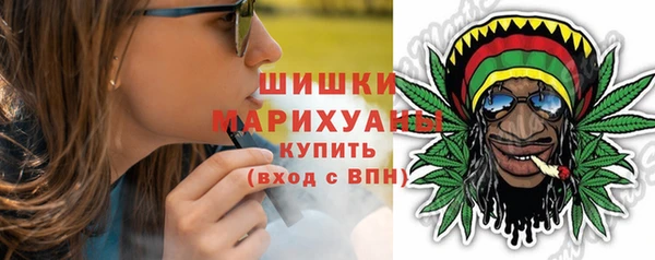 ПСИЛОЦИБИНОВЫЕ ГРИБЫ Арсеньев