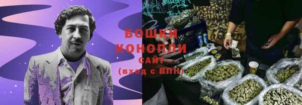 ПСИЛОЦИБИНОВЫЕ ГРИБЫ Арсеньев